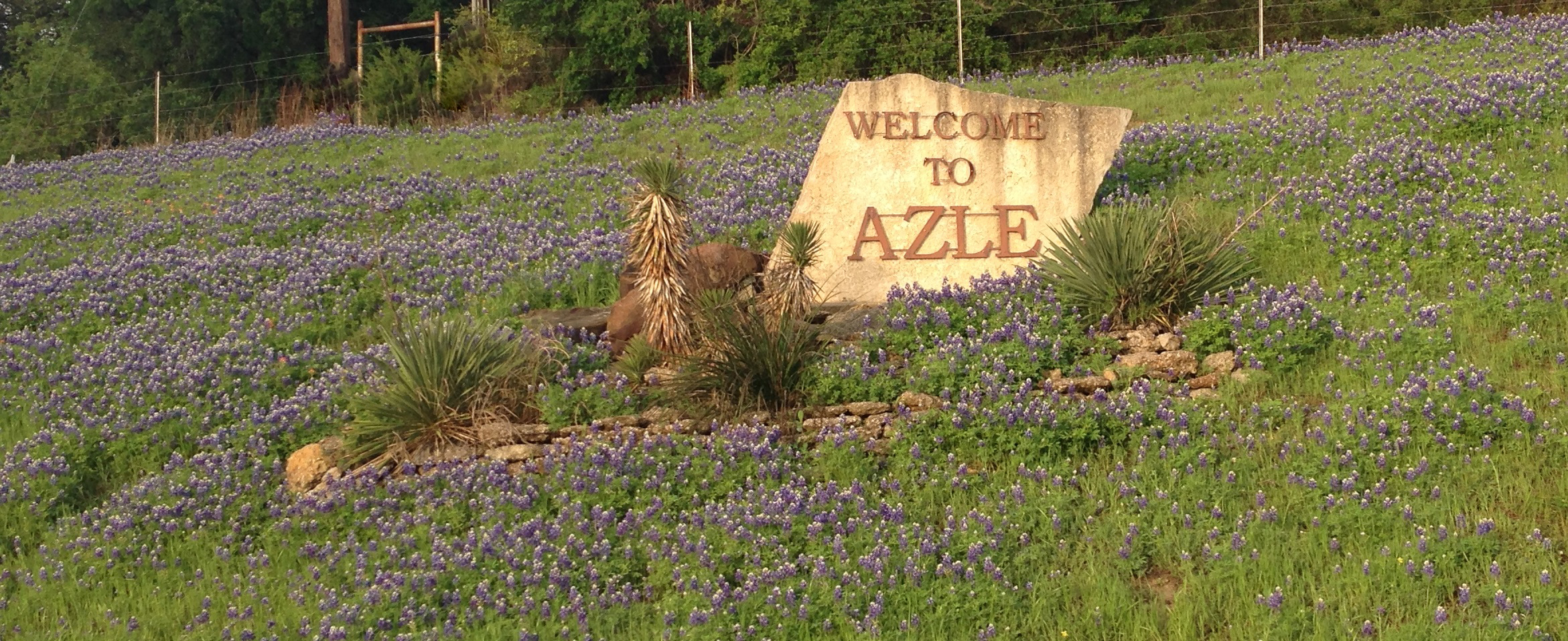 Azle commercial concrete services