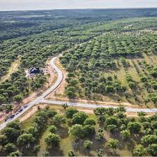 Pecan Plantation commercial concrete services